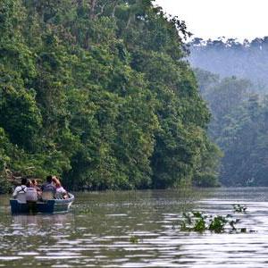 Sur le fleuve Kinabatangan de Bornéo [RTS - Marion Touboul]
