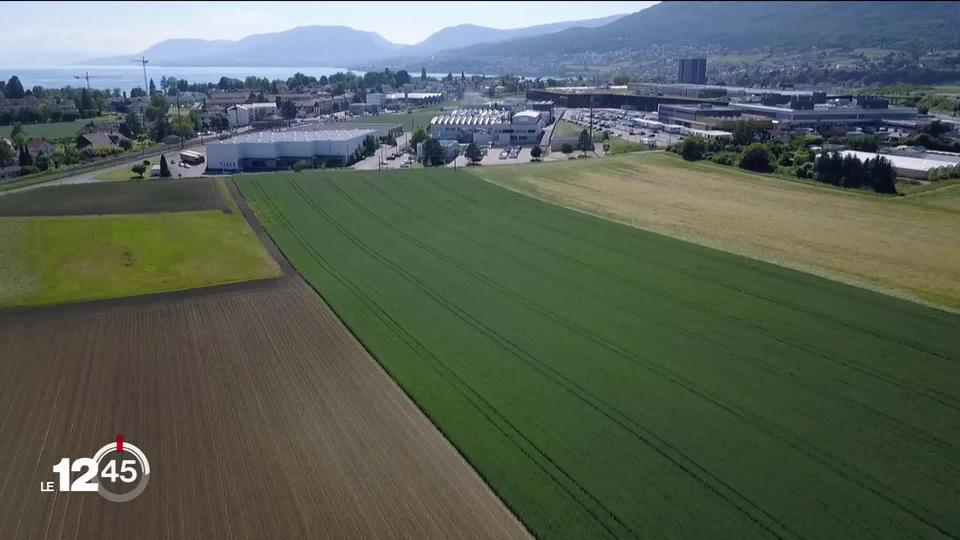 L'avenir économique du canton de Neuchâtel passe par La Tène, lieu d'accueil d'un nouveau pôle de développement