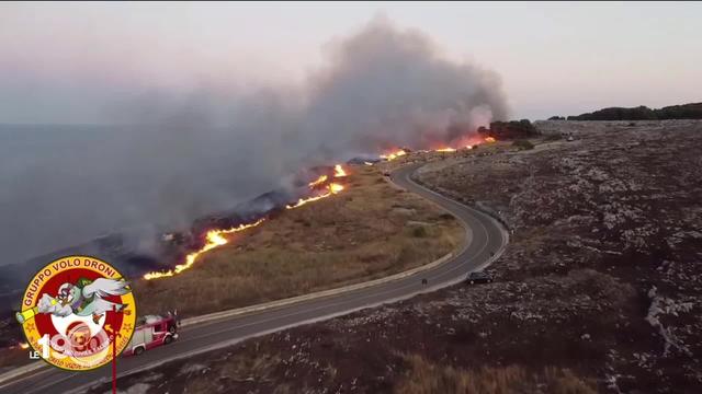 Canicule et incendies près de Rome en Italie