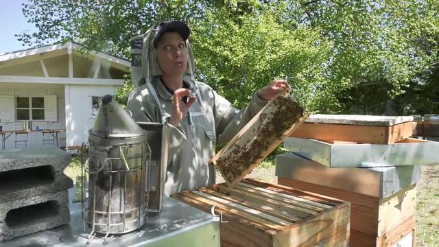 L'apiculture plus qu'un métier, une mission pour Stéphanie Vuadens, l'une des rares apicultrices professionnelles du pays