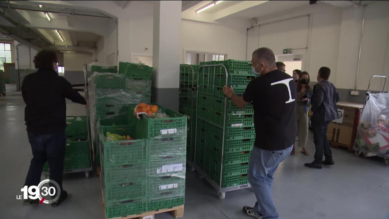 Un nouveau centre de tri et de redistribution des fruits et légumes invendus voit le jour à Penthalaz (VD)