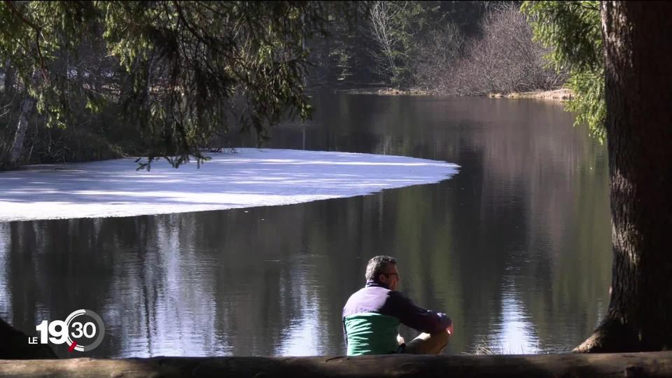 L'Etang de la Gruère, une zone protégée, est victime de déprédations.