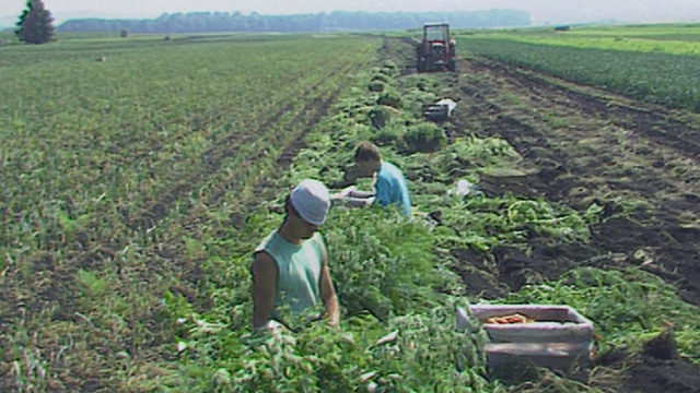 La production agricole intégrée dans le Vully