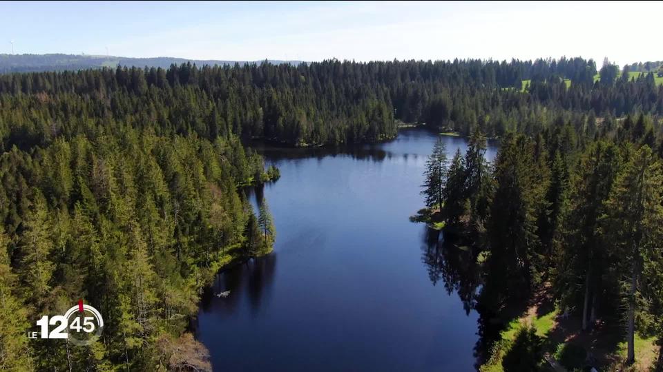 L'étang de la Gruère dans le Jura devrait bientôt être protégé