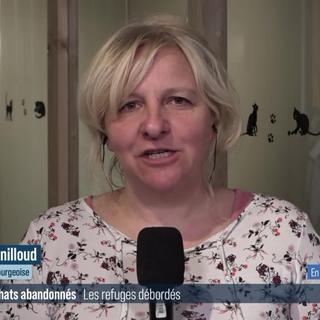 Les SPA de Fribourg et Neuchâtel inondées par des chatons abandonnés: interview de Nathalie Genilloud (vidéo)