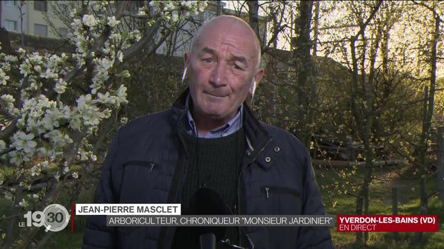 Les explications de Jean-Pierre Masclet, jardinier et chroniqueur à la RTS.