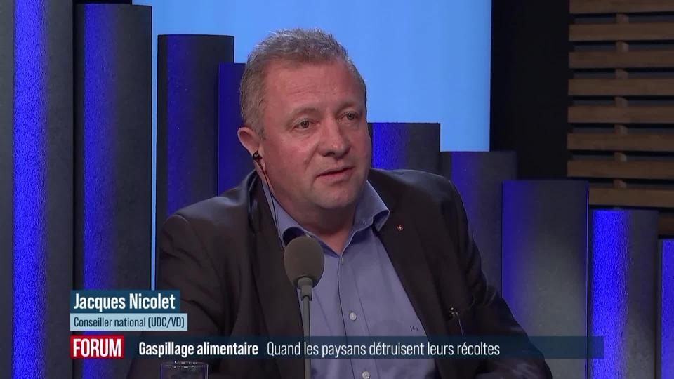 Quand les paysans détruisent leurs récoltes faute d’acheteurs : interview de Jacques Nicolet