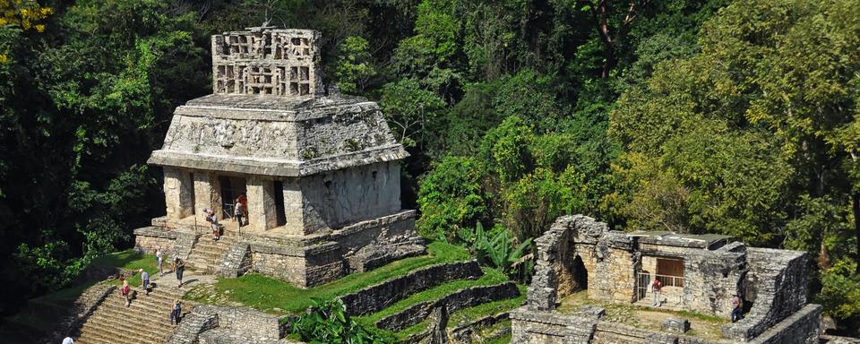 Ruines mayas à Palenque [Depositphotos - MadrugadaVerde]