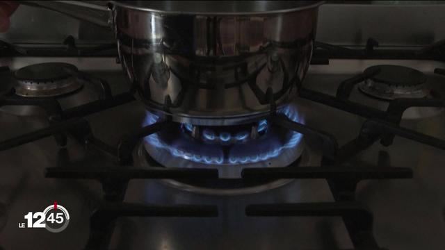 La flambée du prix du gaz touche toute l'Europe et oblige les gouvernements à réagir