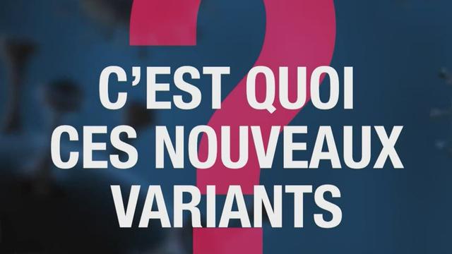 Tout savoir sur les variants du Covid