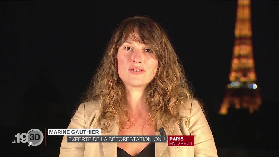 COP26: Entretien avec Marine Gauthier, experte des Nations Unies sur la déforestation, sur l'accord trouver pour freiner la déforestation des forêts du monde