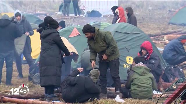 Plus de 400 migrants bloqués à la frontière entre la Pologne et la Biélorussie ont été rapatriés en Irak