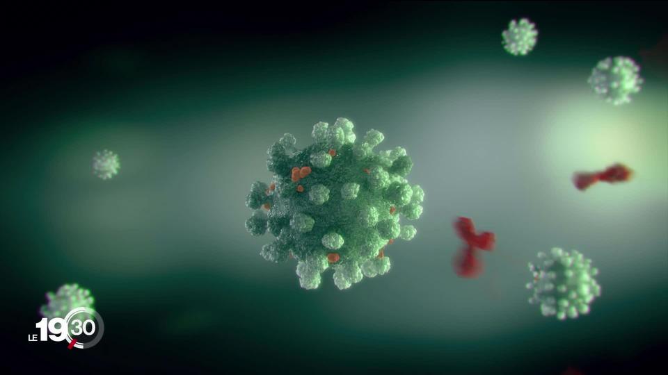 90% des personnes ont encore des anticorps six mois après l’infection par le Covid-19. C’est ce que montre une étude suisse.