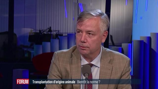 Les transplantations entre les animaux et les humains vont-ils devenir la norme? (vidéo)