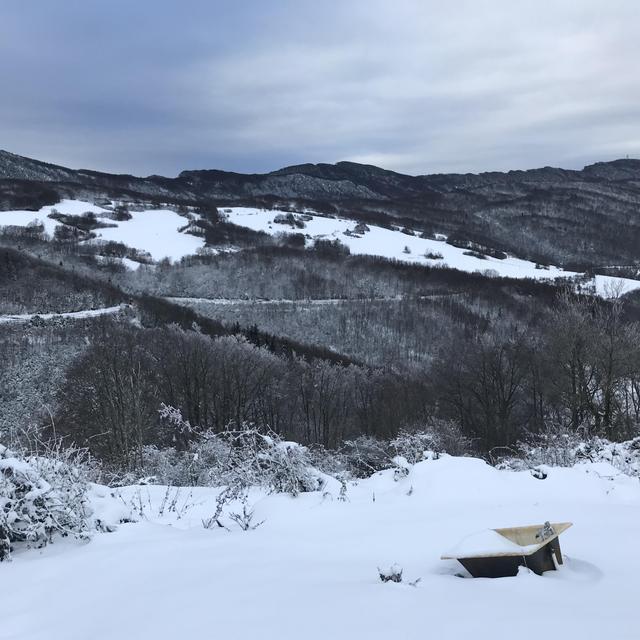 Léoncel Vercors drômois, France. [RTS - Marion Paquet]