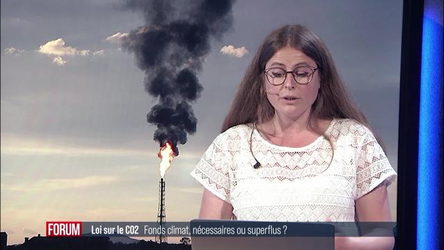 Le débat sur la loi CO2: les réactions des internautes