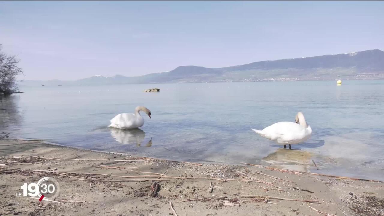 L’armée suisse a mené mardi une campagne d’analyses sur son site de stand de tir sur le lac de Neuchâtel