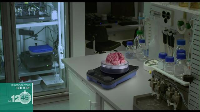 Plongée dans le cerveau humain et l'intelligence artificielle dans le film "Cinq nouvelles du cerveau"