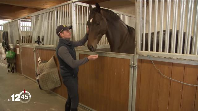 Focus sur le traitement des chevaux suite à des accusations de maltraitance animale dans le milieu équestre