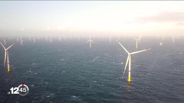 Un parc de 58 éoliennes a récemment été inauguré en Belgique. Reportage.