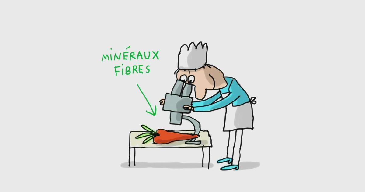 Les fibres alimentaires - Radio Mélodie