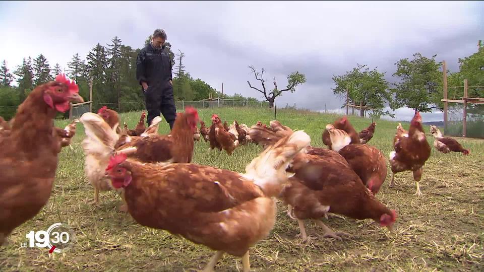 Les deux intitiatives divisent les paysans qui produisent bio.