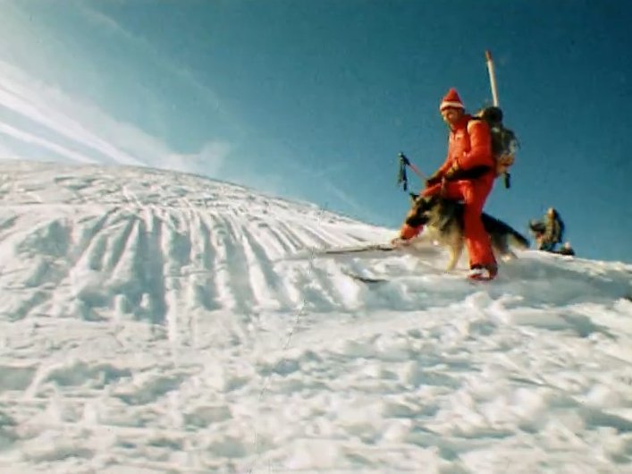 Chien d'avalanche avec son maître en 1979. [RTS]