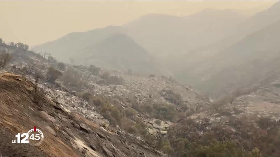 Le feu menace les séquoias en Californie.