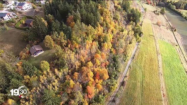 Une carte interactive de Suisse Tourisme répertorie les plus belles forêts colorées du pays