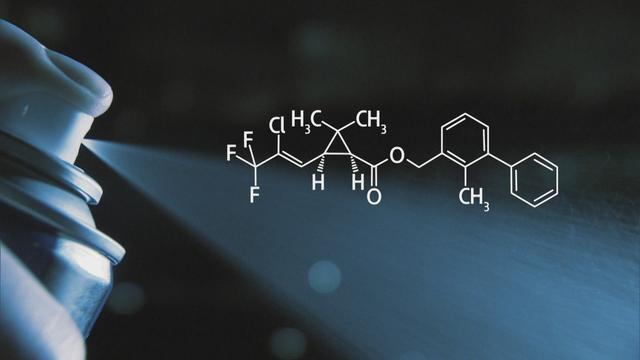 Les perturbateurs endocriniens, comment s’en prémunir ?