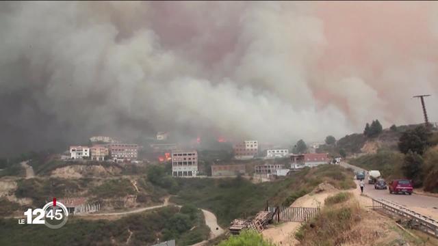 Le nord de l'Algérie en proie aux flammes. Le bilan ne cesse de s'alourdir.