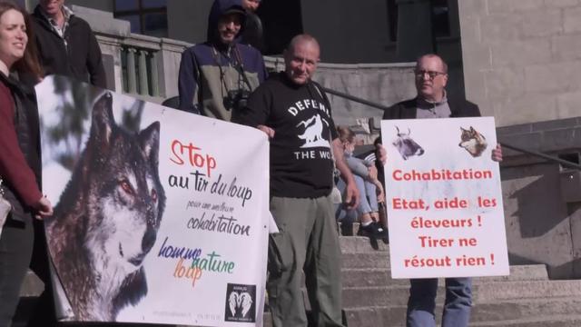 Des citoyens protestent contre les tirs de régulation du loup dans le canton de Vaud.