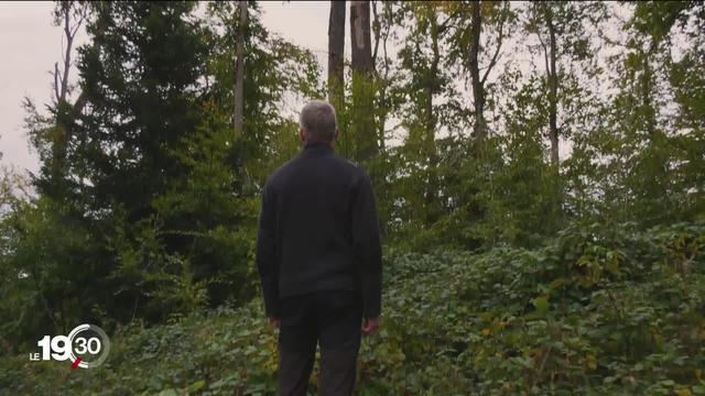 L’automne a du retard cette année. Les forêts jurassiennes sont encore vertes après les précipitations abondantes de cet été