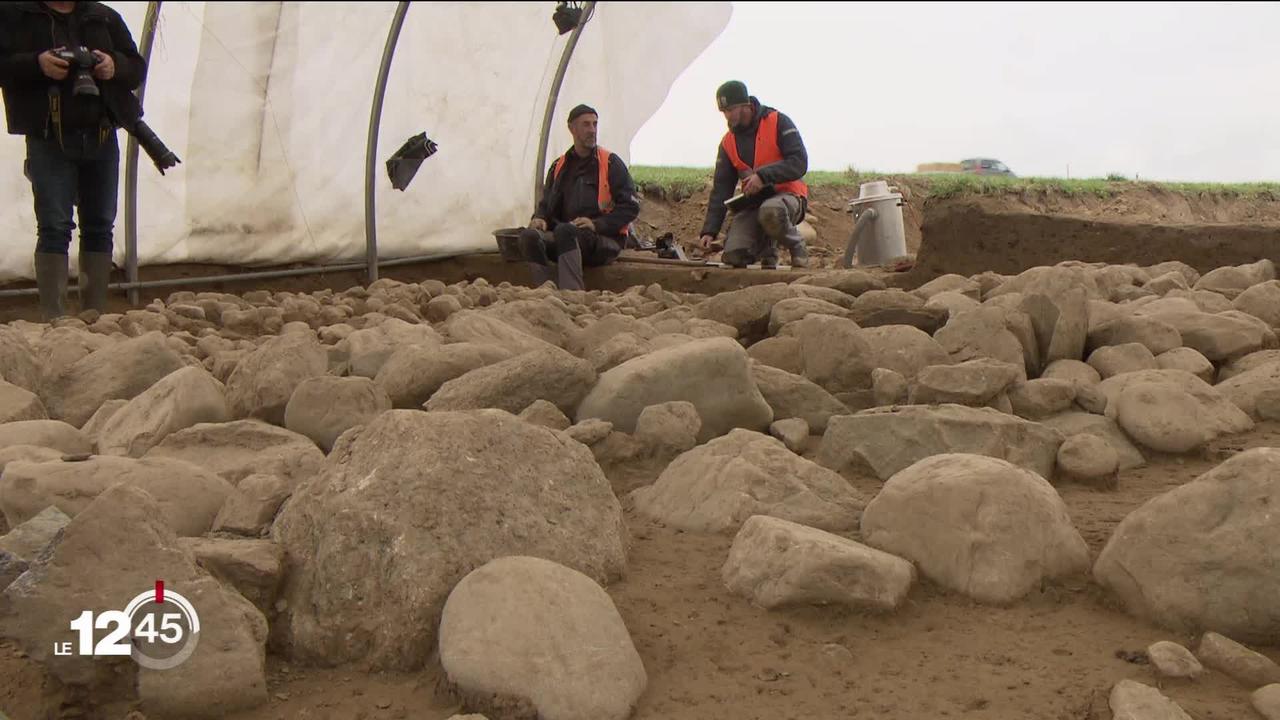 Des vestiges archéologiques vieux de 2'500 ans découverts sur le chantier de l’Agroscope, à Posieux (FR). Une découverte sur le passé agricole de l’âge de fer