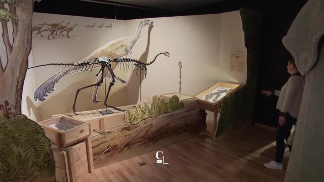 Le paléontologue américain Steve Brusatte a découvert que les dinosaures étaient déjà présents sur terre il y 50 millions d’années.