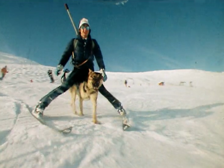 ABC du chien d'avalanche