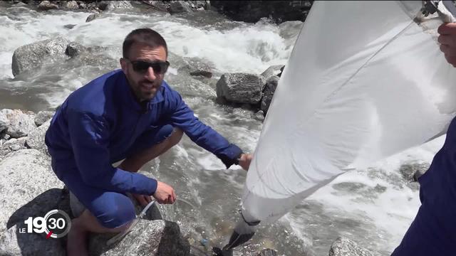 A la chasse aux microplastiques dans les glaciers. Mission scientifique dans le massif du Mt-Blanc.