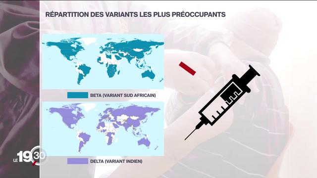 Une vaccination trop inégalitaire risque de favoriser l'apparition de variants qui échappent à la protection du vaccin.