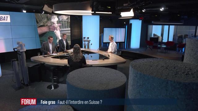 Le grand débat - Faut-il interdire le foie gras ?