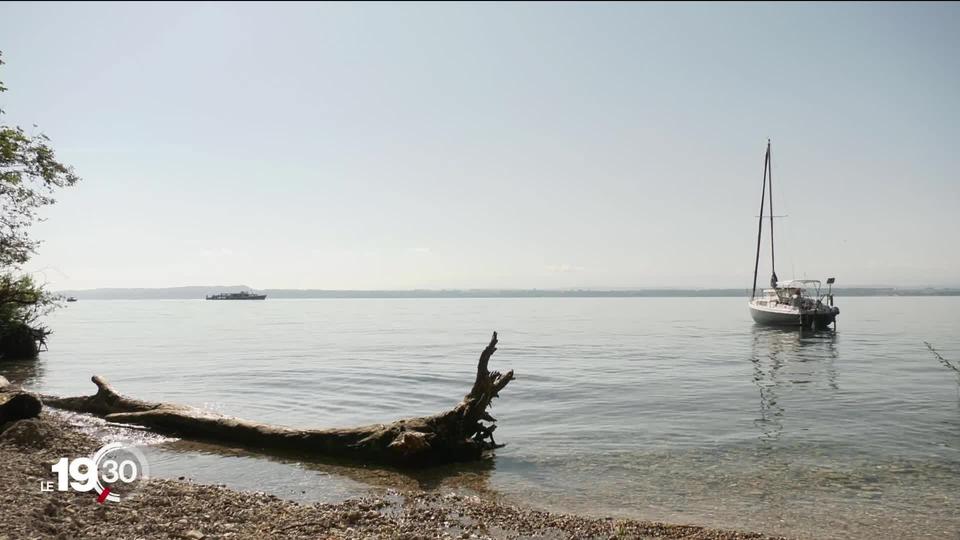 Gare aux bactéries dans le lac de Neuchâtel. La cyanobactérie a provoqué la mort d’un chien