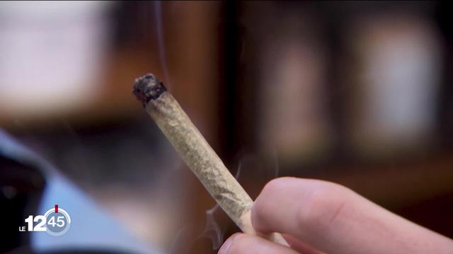 À Genève, il n'est plus possible de vendre du cannabis légal hors des magasins. Seul problème: personne n'est au courant.