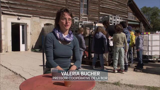 Entretien avec Valeria Bucher, pressoir coopérative de la Bor