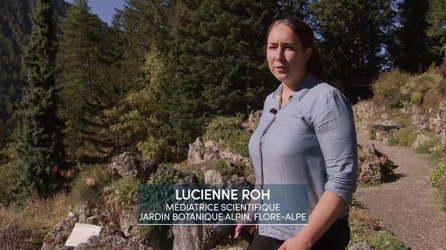 Entretien avec Lucienne Roh, médiatrice scientifique, Jardin botanique Flore-Alpe, Champex