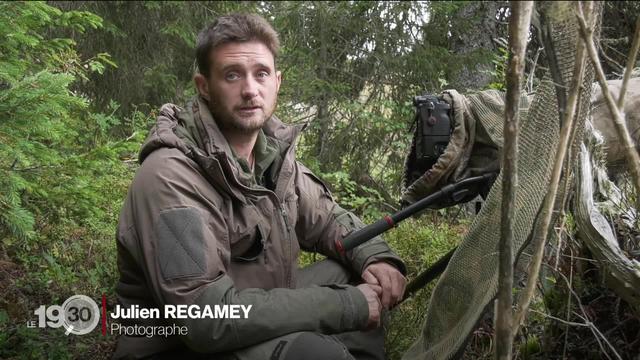 Le photographe et passionné de vie sauvage Julien Regamey immortalise les loups du Jura vaudois