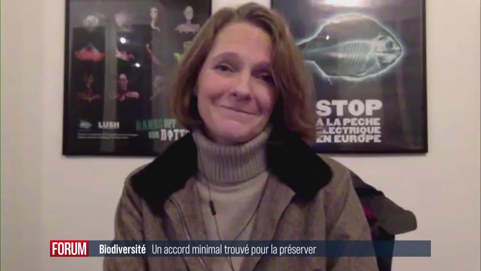 Un accord minimal sur la protection de la biodiversité signé à Montréal: interview de Claire Nouvian