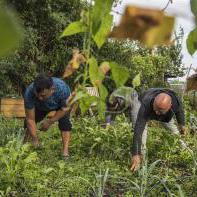 Créés il y a 11 ans, les Nouveaux Jardins de l'EPER permettent une intégration des personnes migrantes par le jardinage [www.eper.ch]