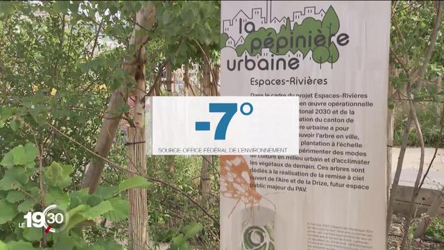 Genève: le canton expérimente des îlots de fraîcheur en cette période de canicule