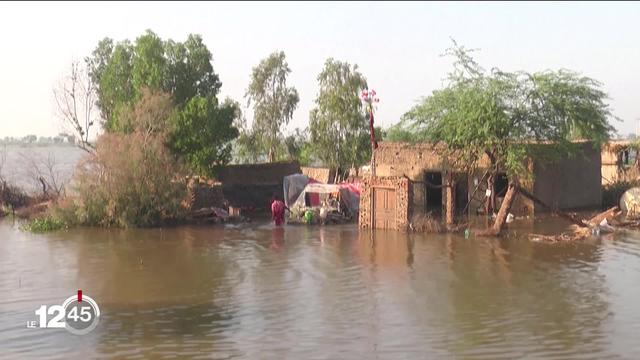 Au Pakistan des millions de personnes sont prises au piège des intempéries. La communauté internationale se mobilise.