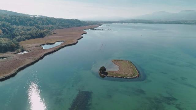 Des îles aux oiseaux sur le Lac de Neuchâtel