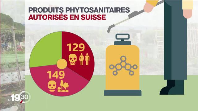 Le Conseil des États veut priver les particuliers d’achat de pesticides toxiques. Reportage dans les jardins municipaux d’Yverdon-les-Bains (VD)